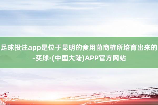 足球投注app是位于昆明的食用菌商榷所培育出来的-买球·(中国大陆)APP官方网站