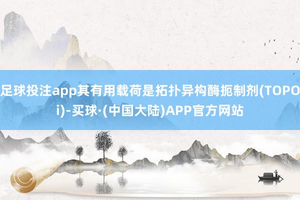 足球投注app其有用载荷是拓扑异构酶扼制剂(TOPOi)-买球·(中国大陆)APP官方网站