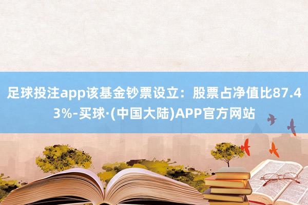足球投注app该基金钞票设立：股票占净值比87.43%-买球·(中国大陆)APP官方网站