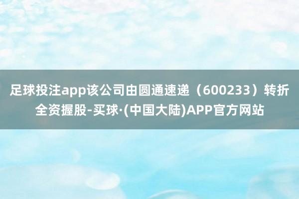 足球投注app该公司由圆通速递（600233）转折全资握股-买球·(中国大陆)APP官方网站