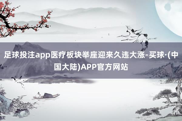 足球投注app医疗板块举座迎来久违大涨-买球·(中国大陆)APP官方网站