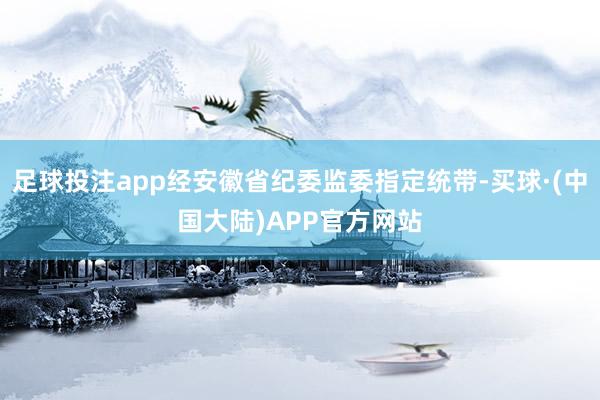 足球投注app经安徽省纪委监委指定统带-买球·(中国大陆)APP官方网站
