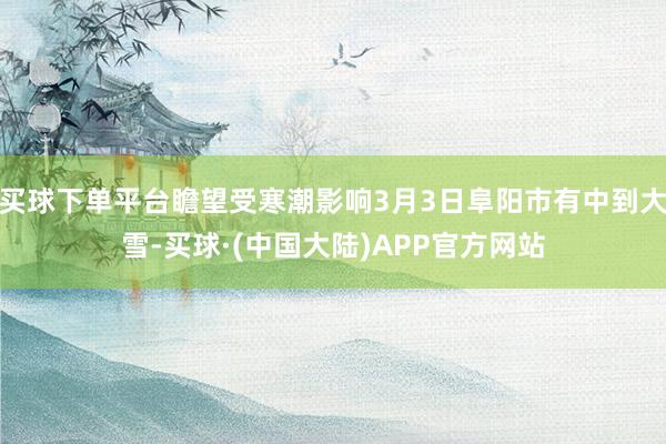 买球下单平台瞻望受寒潮影响3月3日阜阳市有中到大雪-买球·(中国大陆)APP官方网站