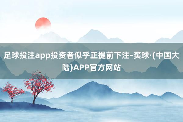 足球投注app投资者似乎正提前下注-买球·(中国大陆)APP官方网站