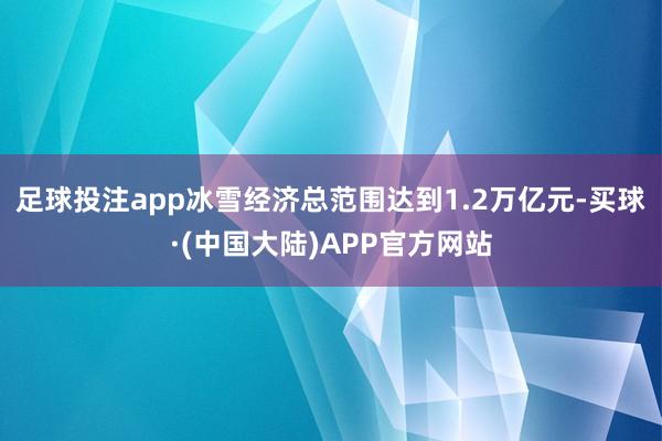 足球投注app冰雪经济总范围达到1.2万亿元-买球·(中国大陆)APP官方网站