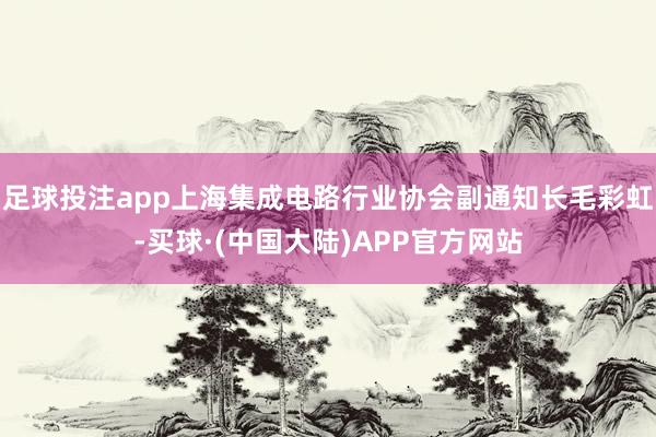足球投注app上海集成电路行业协会副通知长毛彩虹-买球·(中国大陆)APP官方网站