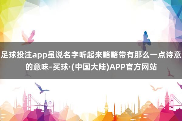 足球投注app虽说名字听起来略略带有那么一点诗意的意味-买球·(中国大陆)APP官方网站