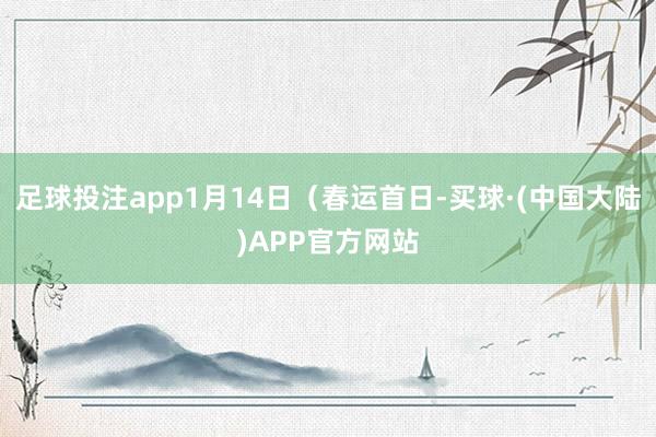 足球投注app1月14日（春运首日-买球·(中国大陆)APP官方网站