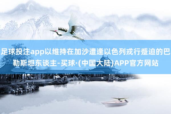 足球投注app以维持在加沙遭逢以色列戎行蹙迫的巴勒斯坦东谈主-买球·(中国大陆)APP官方网站