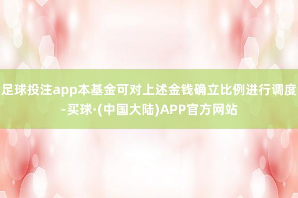 足球投注app本基金可对上述金钱确立比例进行调度-买球·(中国大陆)APP官方网站