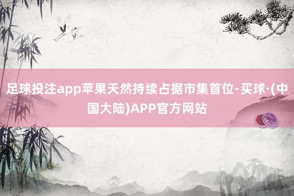 足球投注app苹果天然持续占据市集首位-买球·(中国大陆)APP官方网站