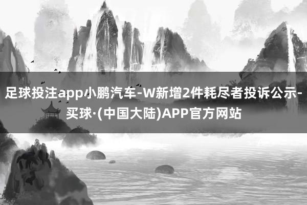足球投注app小鹏汽车-W新增2件耗尽者投诉公示-买球·(中国大陆)APP官方网站