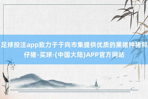 足球投注app致力于于向市集提供优质的黑猪种猪和仔猪-买球·(中国大陆)APP官方网站