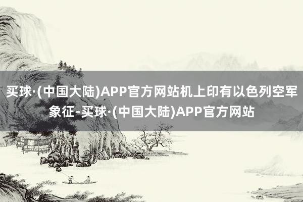 买球·(中国大陆)APP官方网站机上印有以色列空军象征-买球·(中国大陆)APP官方网站
