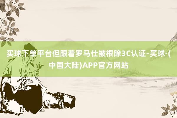 买球下单平台但跟着罗马仕被根除3C认证-买球·(中国大陆)APP官方网站