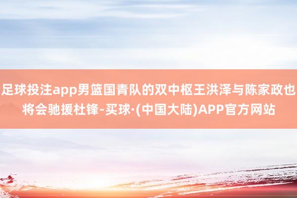 足球投注app男篮国青队的双中枢王洪泽与陈家政也将会驰援杜锋-买球·(中国大陆)APP官方网站