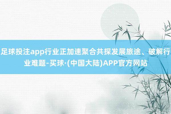 足球投注app行业正加速聚合共探发展旅途、破解行业难题-买球·(中国大陆)APP官方网站