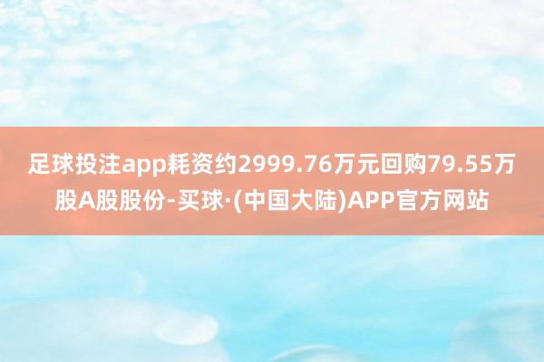 足球投注app耗资约2999.76万元回购79.55万股A股股份-买球·(中国大陆)APP官方网站