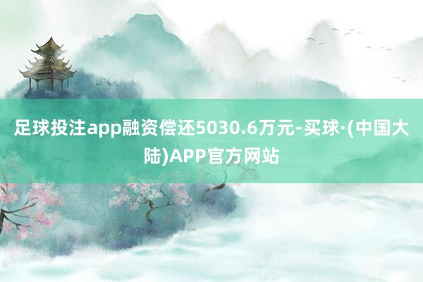 足球投注app融资偿还5030.6万元-买球·(中国大陆)APP官方网站