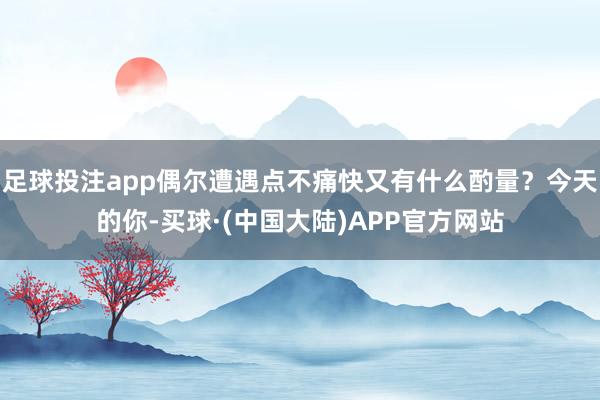 足球投注app偶尔遭遇点不痛快又有什么酌量?今天的你-买球·(中国大陆)APP官方网站