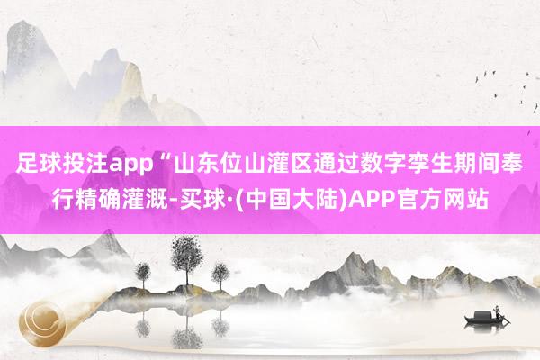 足球投注app　　“山东位山灌区通过数字孪生期间奉行精确灌溉-买球·(中国大陆)APP官方网站