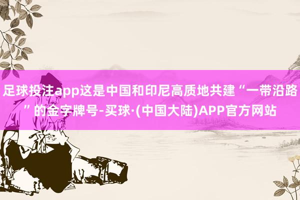 足球投注app这是中国和印尼高质地共建“一带沿路”的金字牌号-买球·(中国大陆)APP官方网站