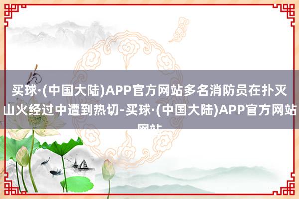 买球·(中国大陆)APP官方网站多名消防员在扑灭山火经过中遭到热切-买球·(中国大陆)APP官方网站