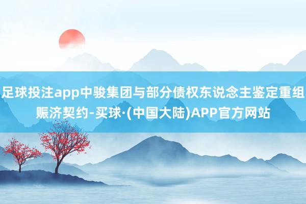 足球投注app中骏集团与部分债权东说念主鉴定重组赈济契约-买球·(中国大陆)APP官方网站