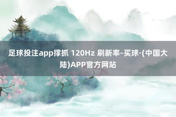 足球投注app撑抓 120Hz 刷新率-买球·(中国大陆)APP官方网站