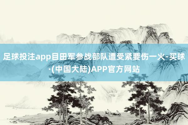 足球投注app目田军参战部队遭受紧要伤一火-买球·(中国大陆)APP官方网站
